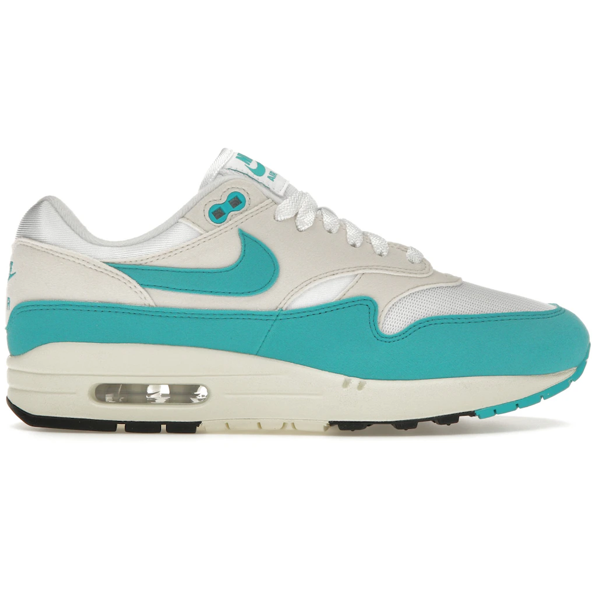 Nike Air Max 1 Dusty Cactus