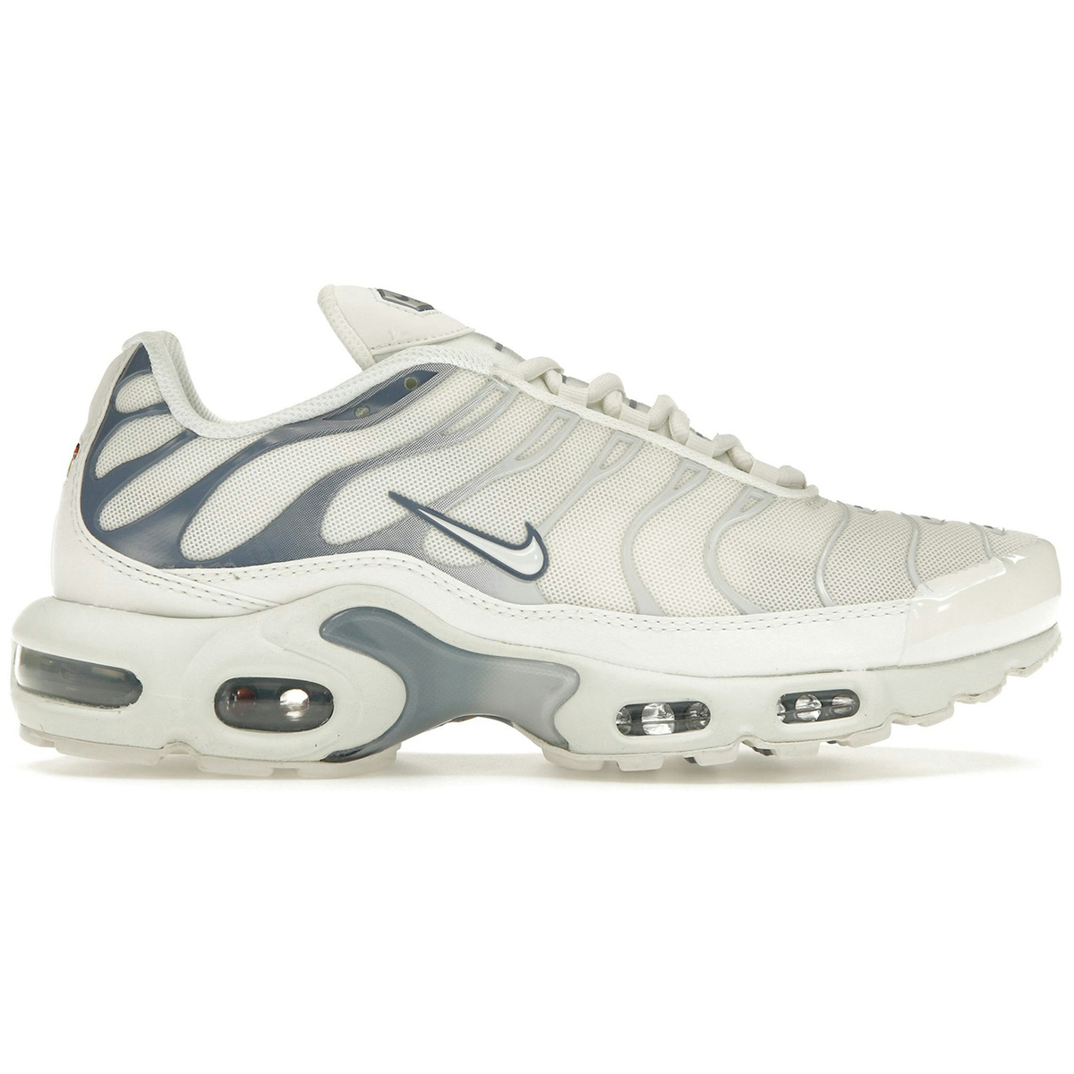Nike Air Max Plus Ashen Slate